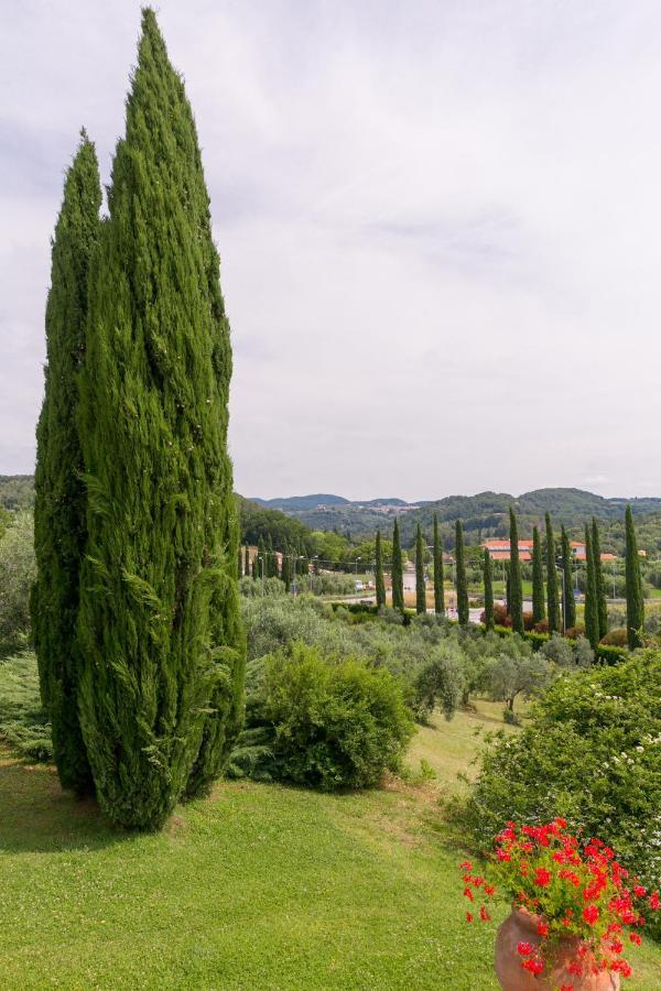 Villa Ligustro 利帕贝拉 外观 照片